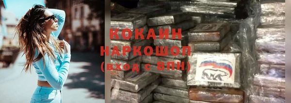 гидропоника Белокуриха